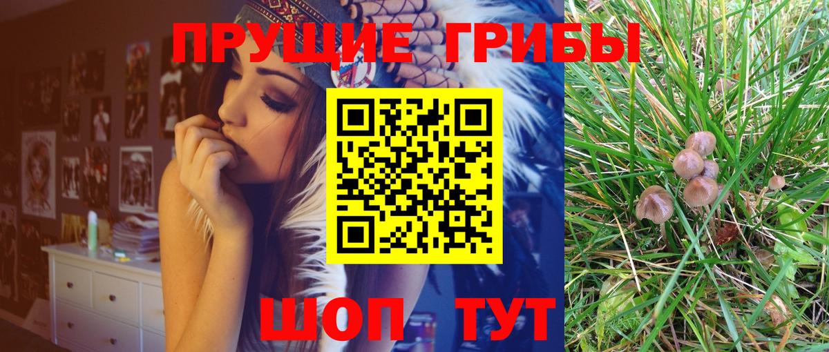 Печора  Галлюциногенные грибы GOLDEN TEACHER  Вход с VPN 